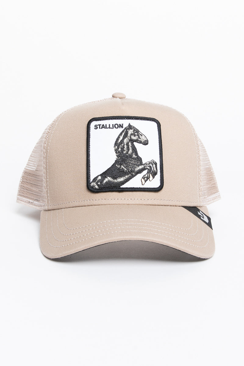 The Stallion Trucker Hat