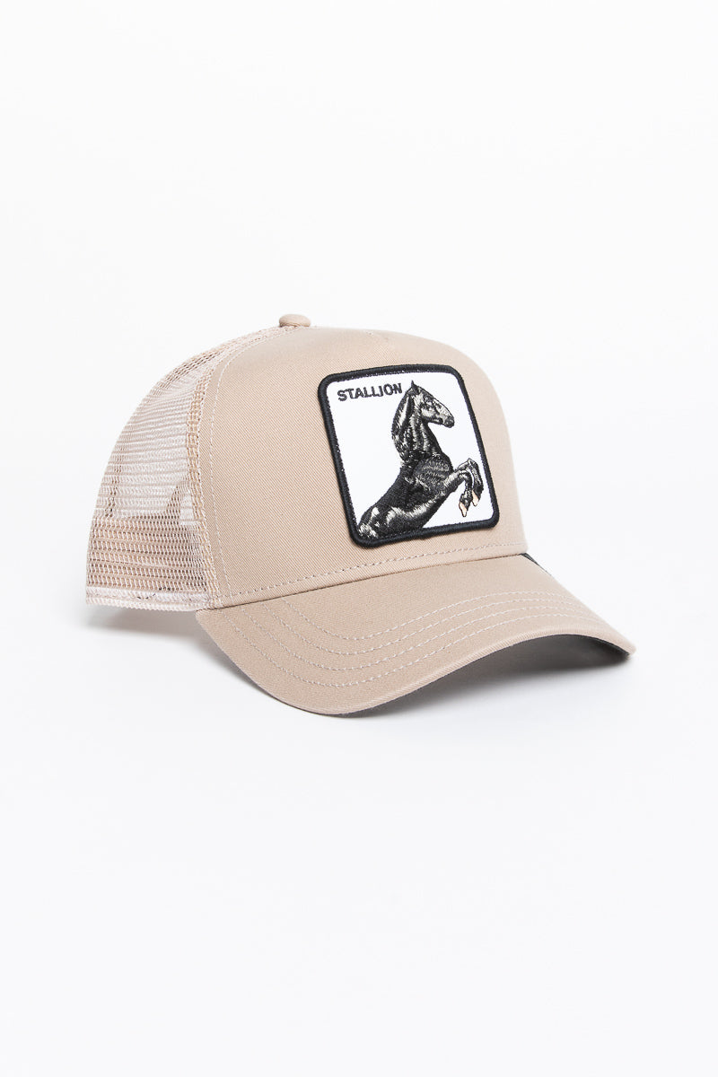 The Stallion Trucker Hat
