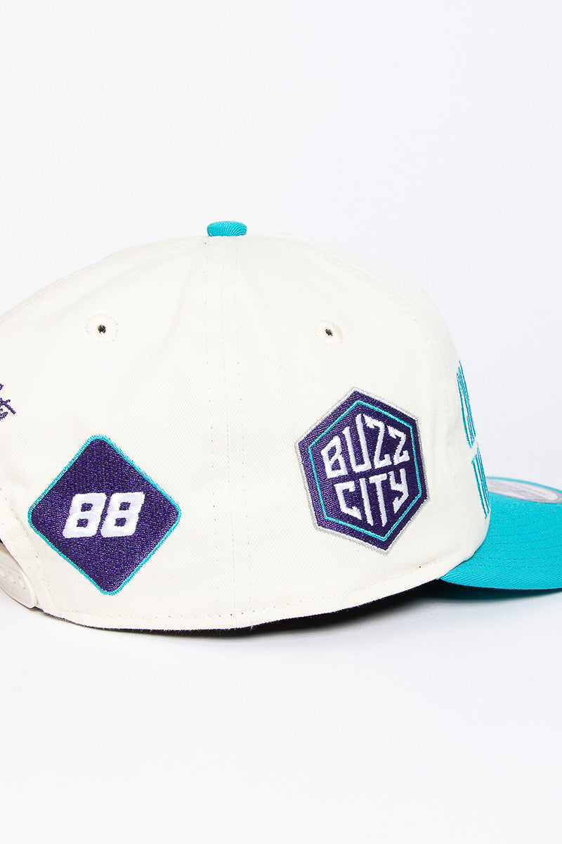 Charlotte Hornets Multi Dunk Golfer A-Frame Snapback