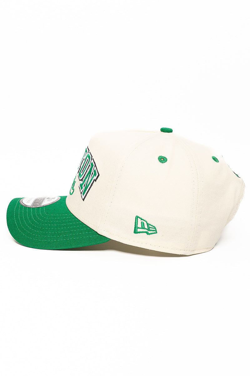 9Forty Boston Celtics Chrome 2-Tone Cap