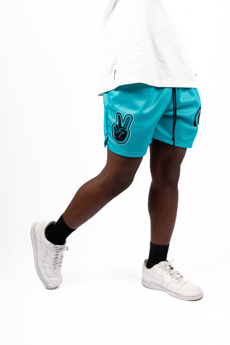 Deuce Mint Mesh Shorts