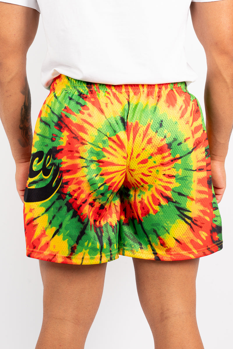 Deuce Rasta Tie-Dye Mesh Shorts