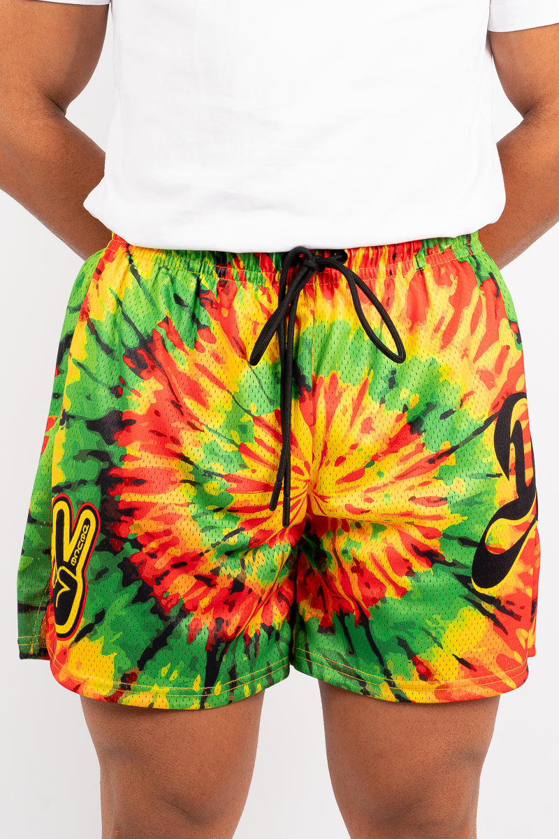Deuce Rasta Tie-Dye Mesh Shorts