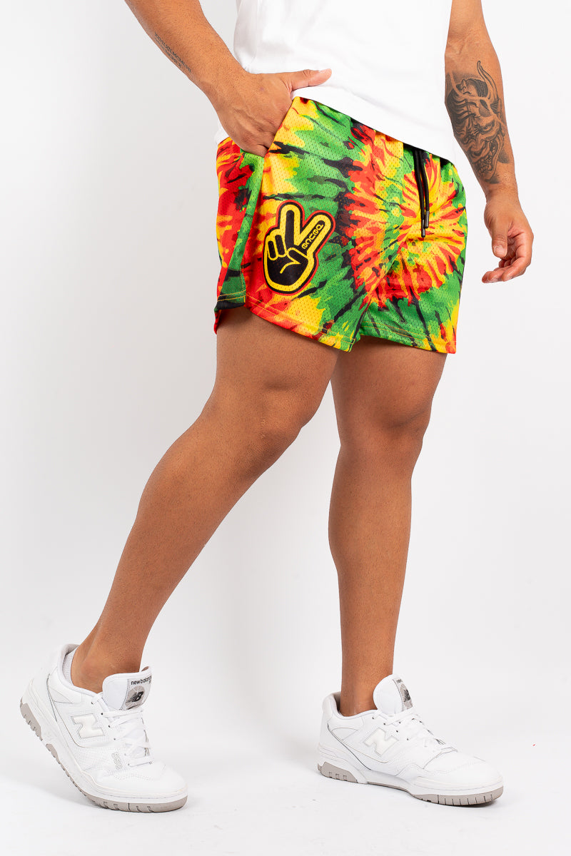 Deuce Rasta Tie-Dye Mesh Shorts