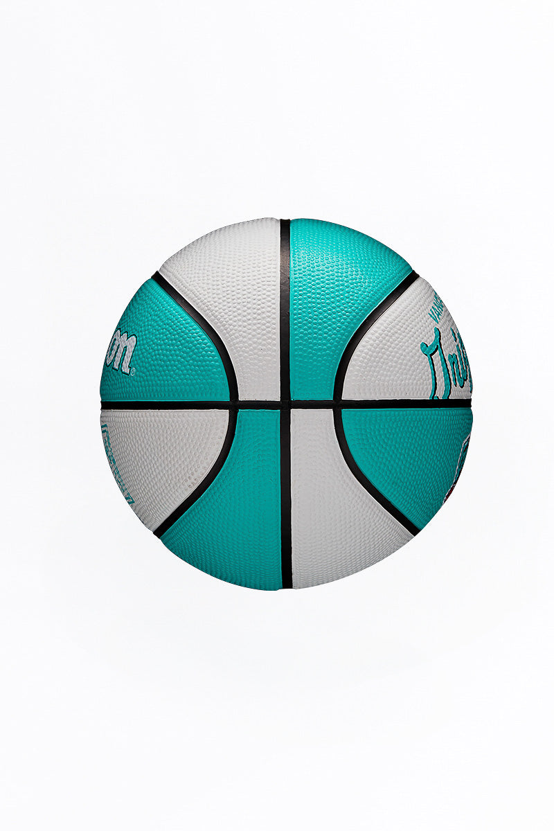Vancouver Grizzlies Retro Script Mini (Size 3) Ball