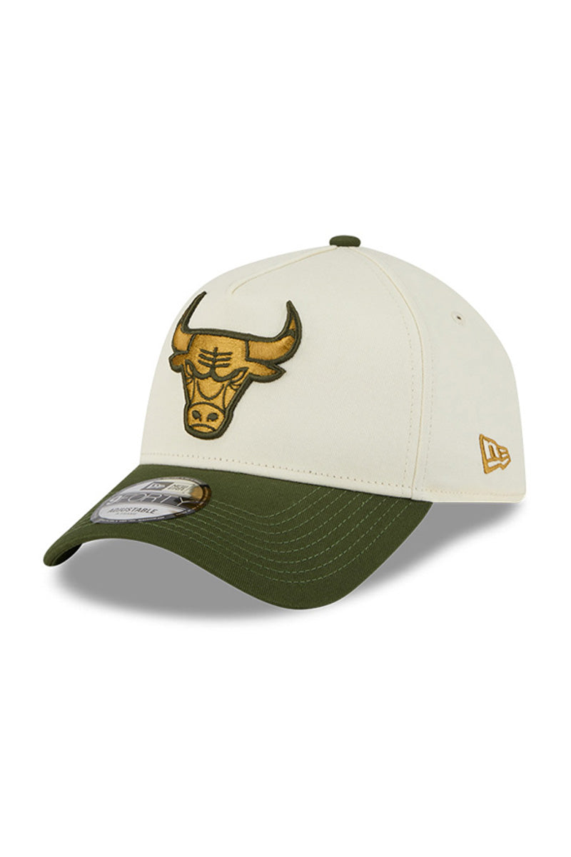 Chicago Bulls 940 A-Frame  Metallic Logo Cap - Mens