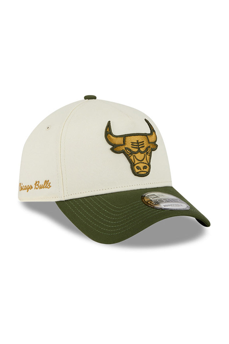 Chicago Bulls 940 A-Frame  Metallic Logo Cap - Mens