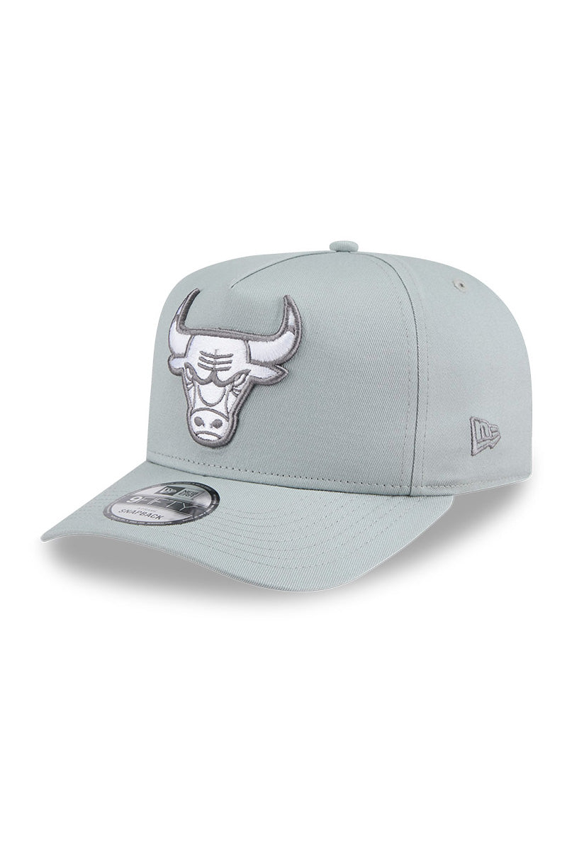 Chicago Bulls 940 A-Frame Silverwing Cap - Mens