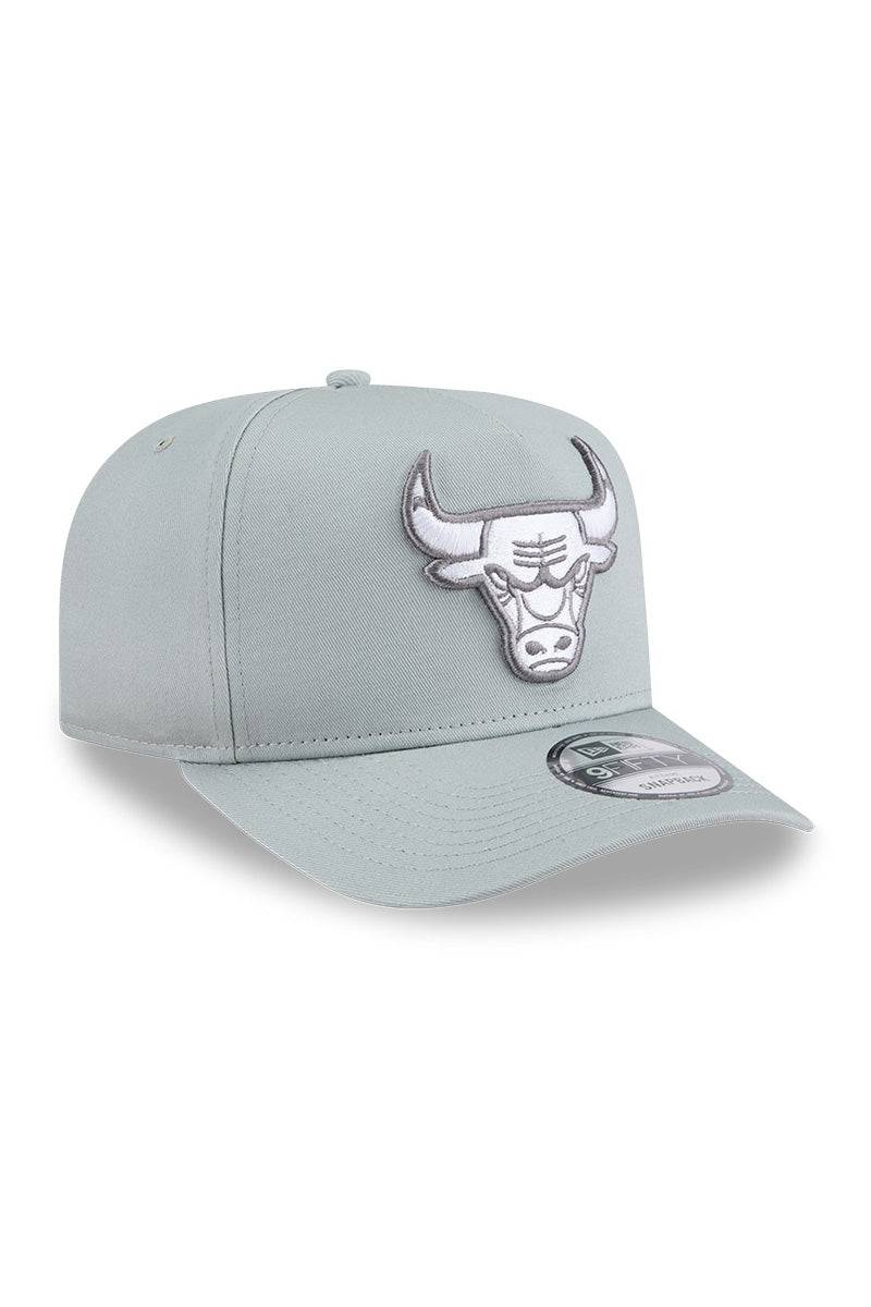 Chicago Bulls 940 A-Frame Silverwing Cap - Mens