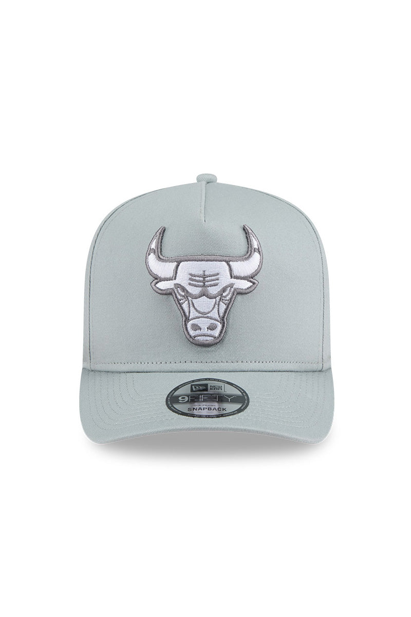 Chicago Bulls 940 A-Frame Silverwing Cap - Mens