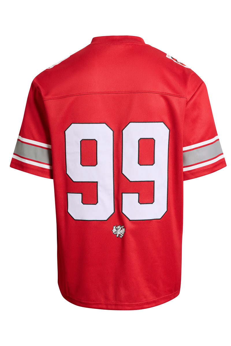 St George Illawarra Dragons NRL Gridiron Mesh Jersey