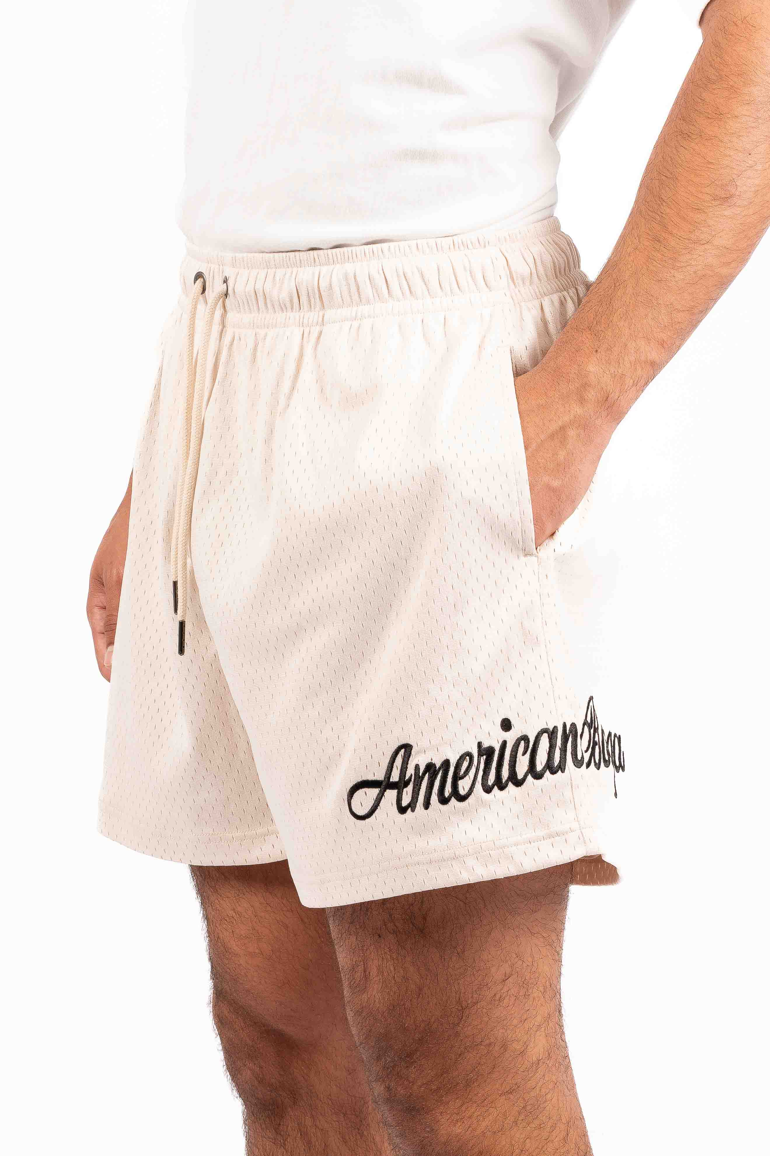 Lined Mesh Shorts