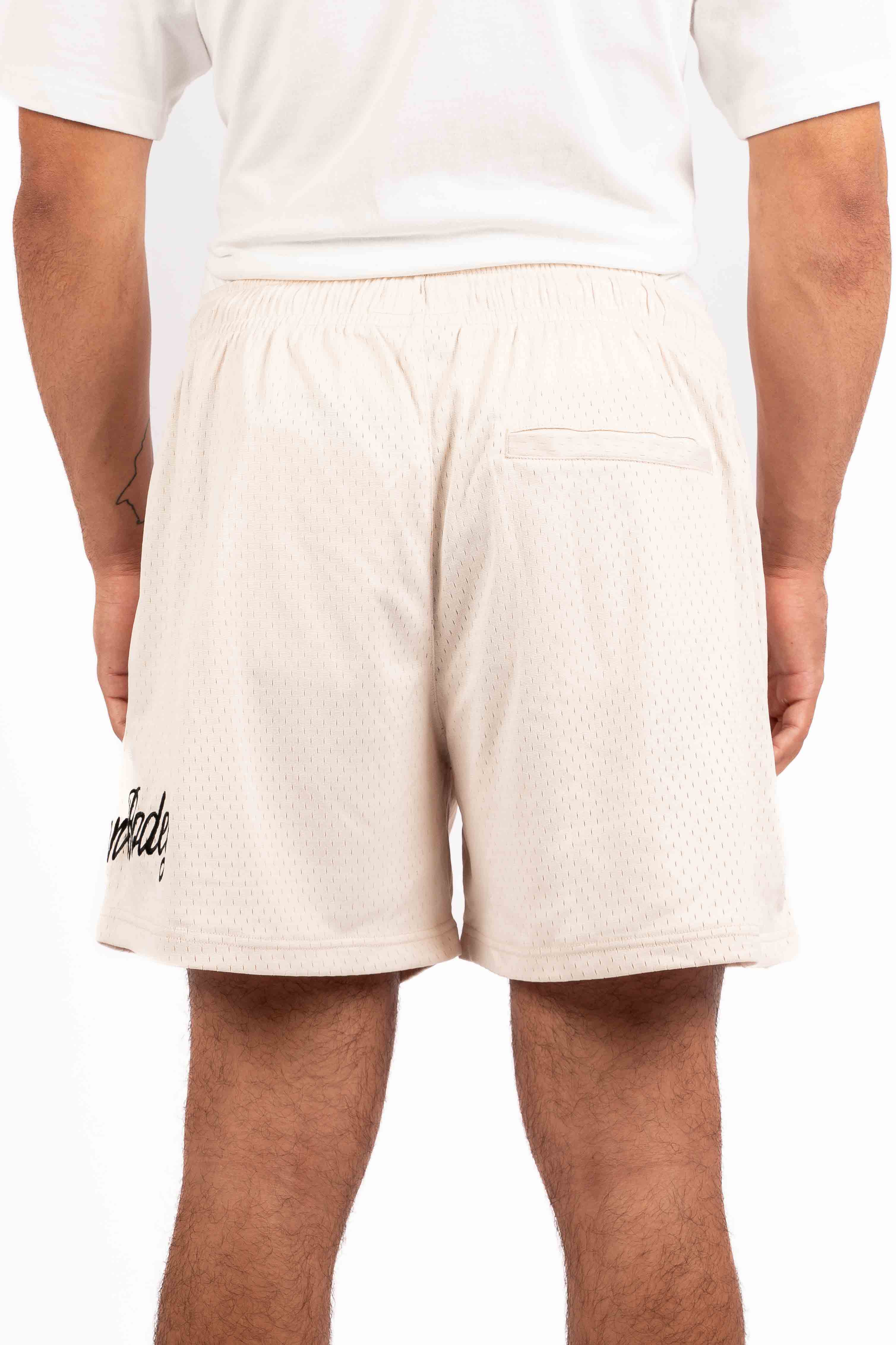 Lined Mesh Shorts