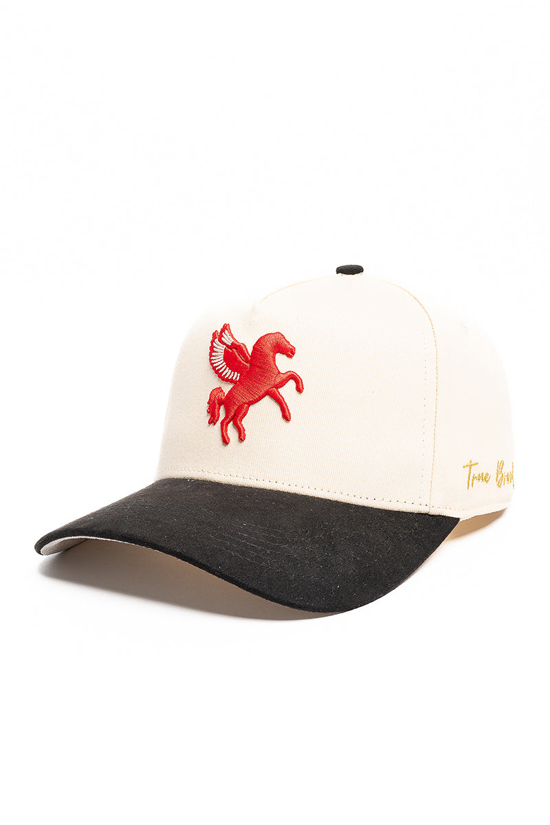 Dallas Pegasus Snapback