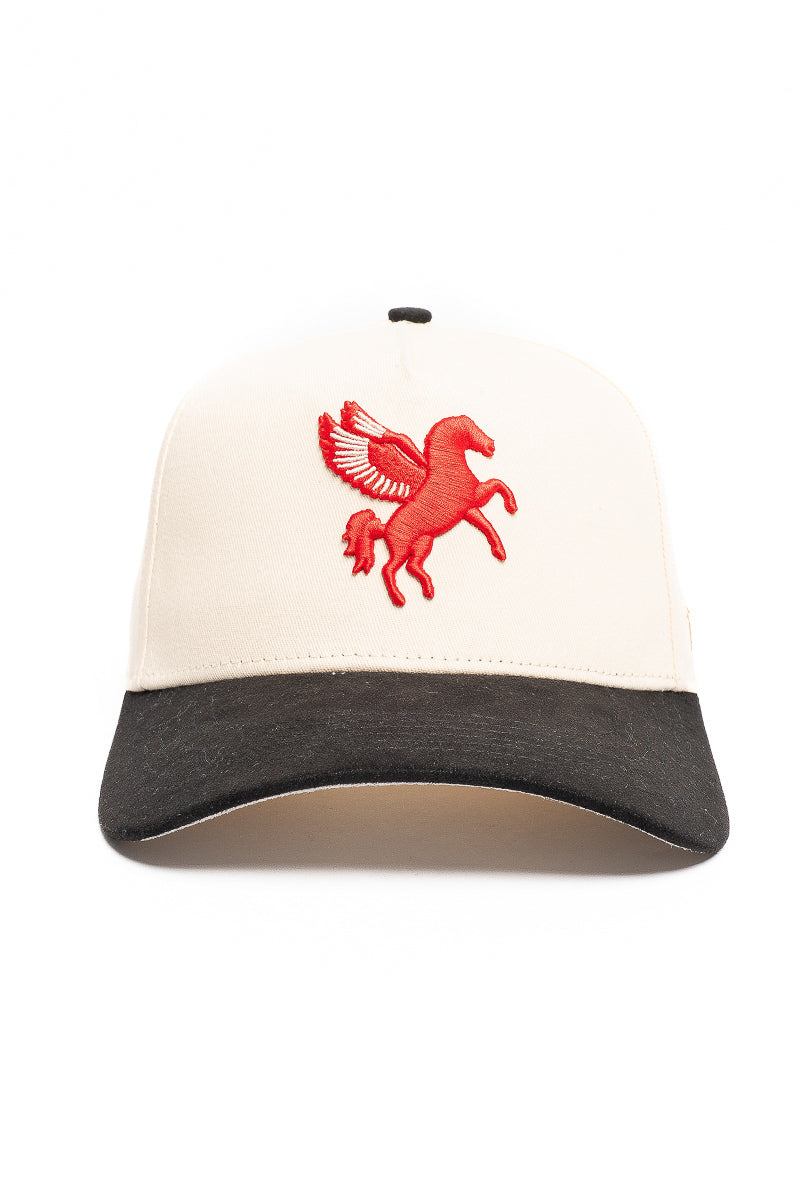 Dallas Pegasus Snapback