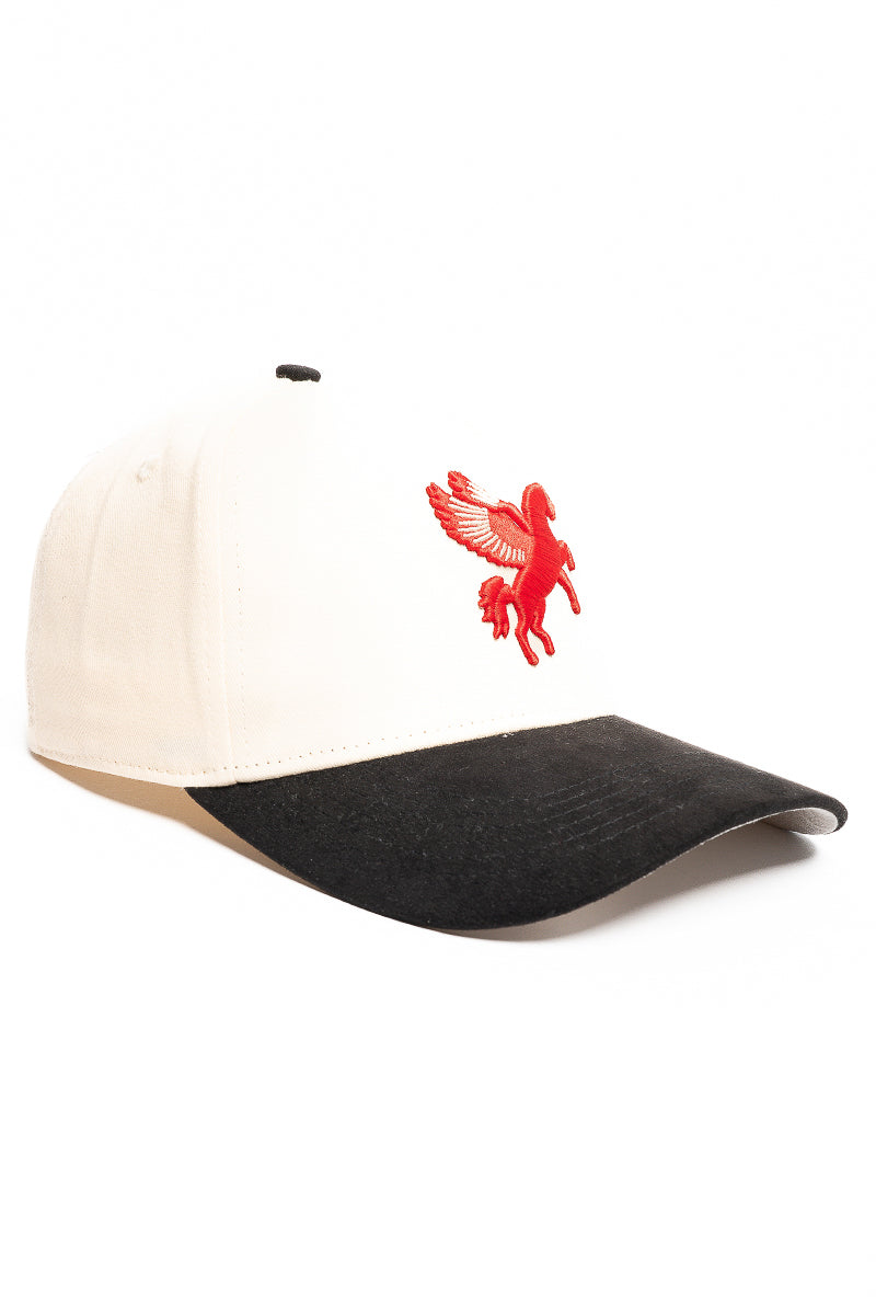 Dallas Pegasus Snapback