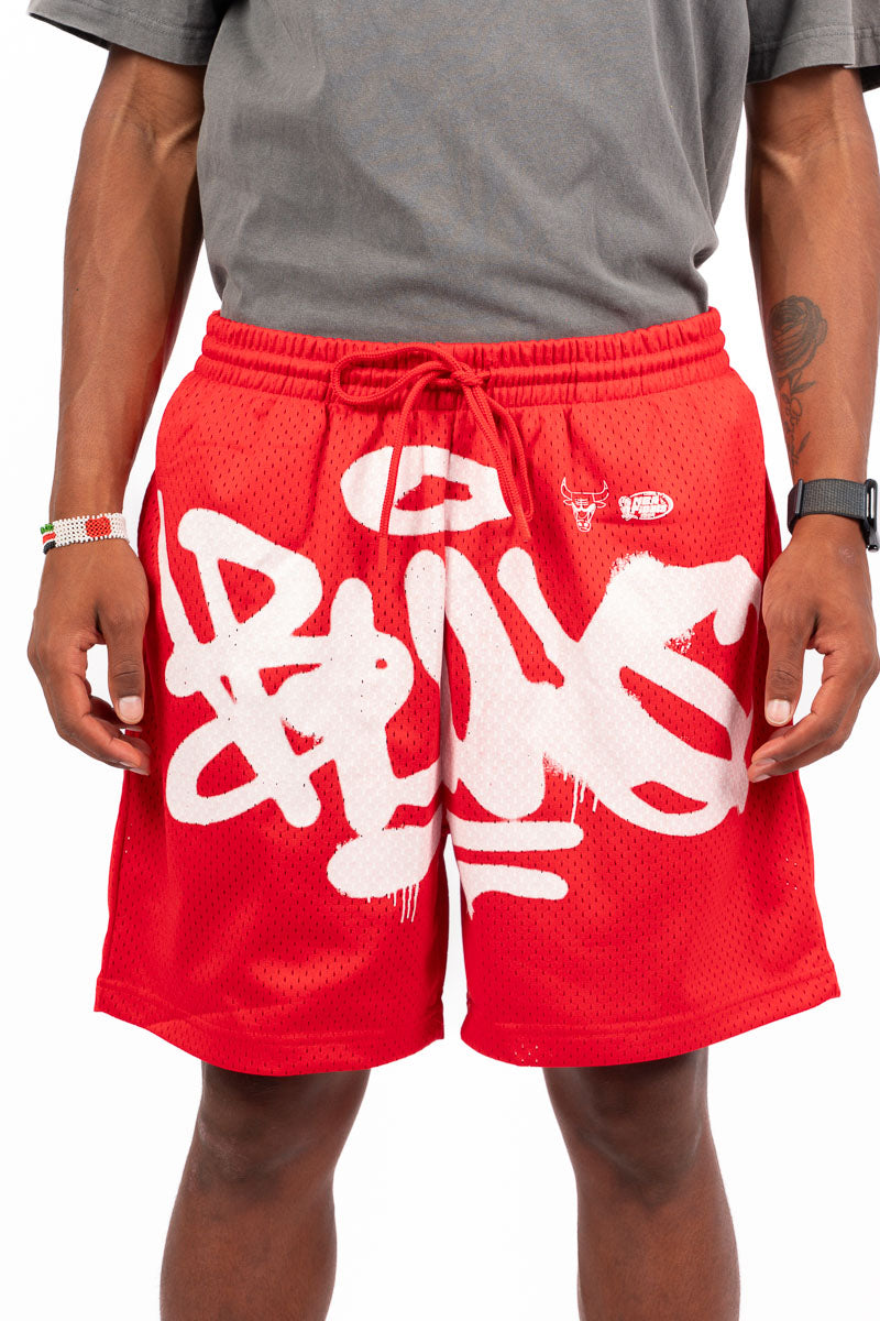 Chicago Bulls Graphic Mesh Shorts