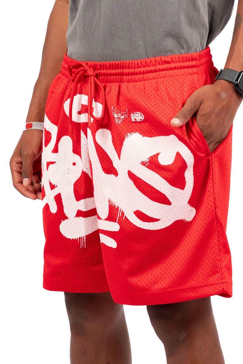Chicago Bulls Graphic Mesh Shorts