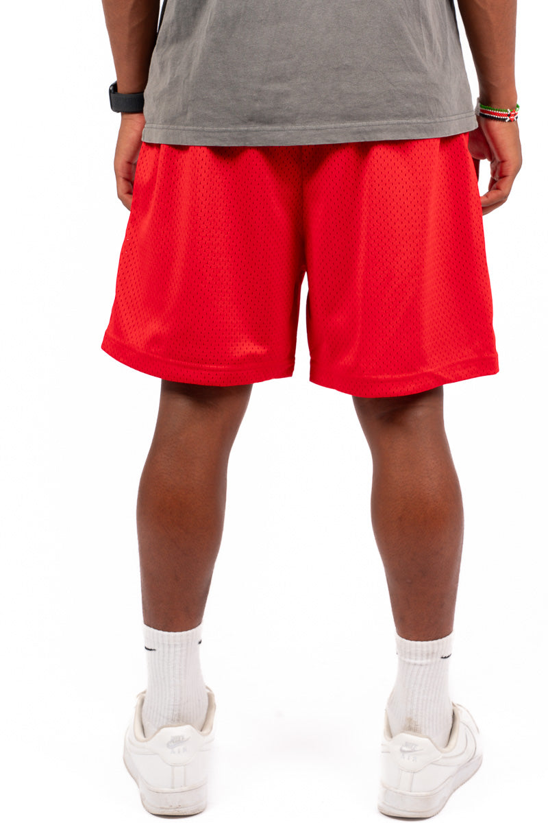 Chicago Bulls Graphic Mesh Shorts