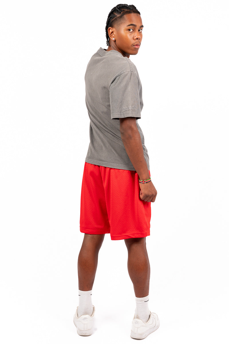 Chicago Bulls Graphic Mesh Shorts