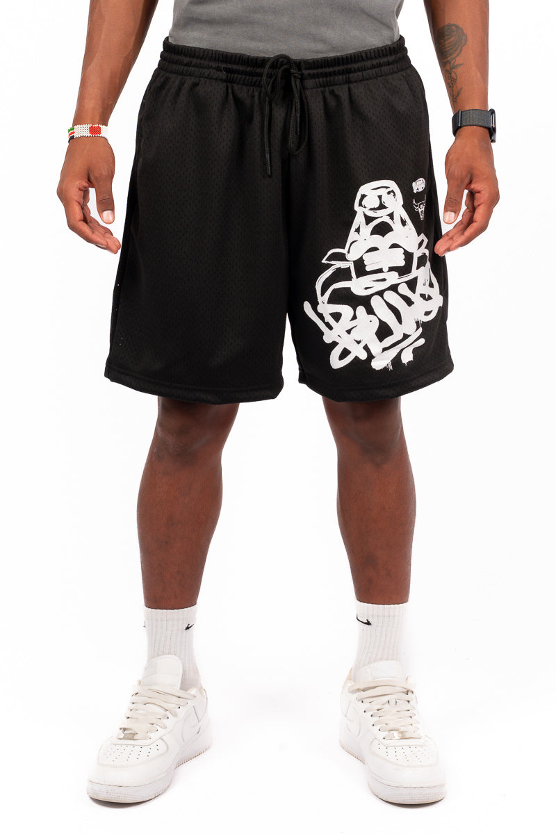 Chicago Bulls Graphic Mesh Shorts
