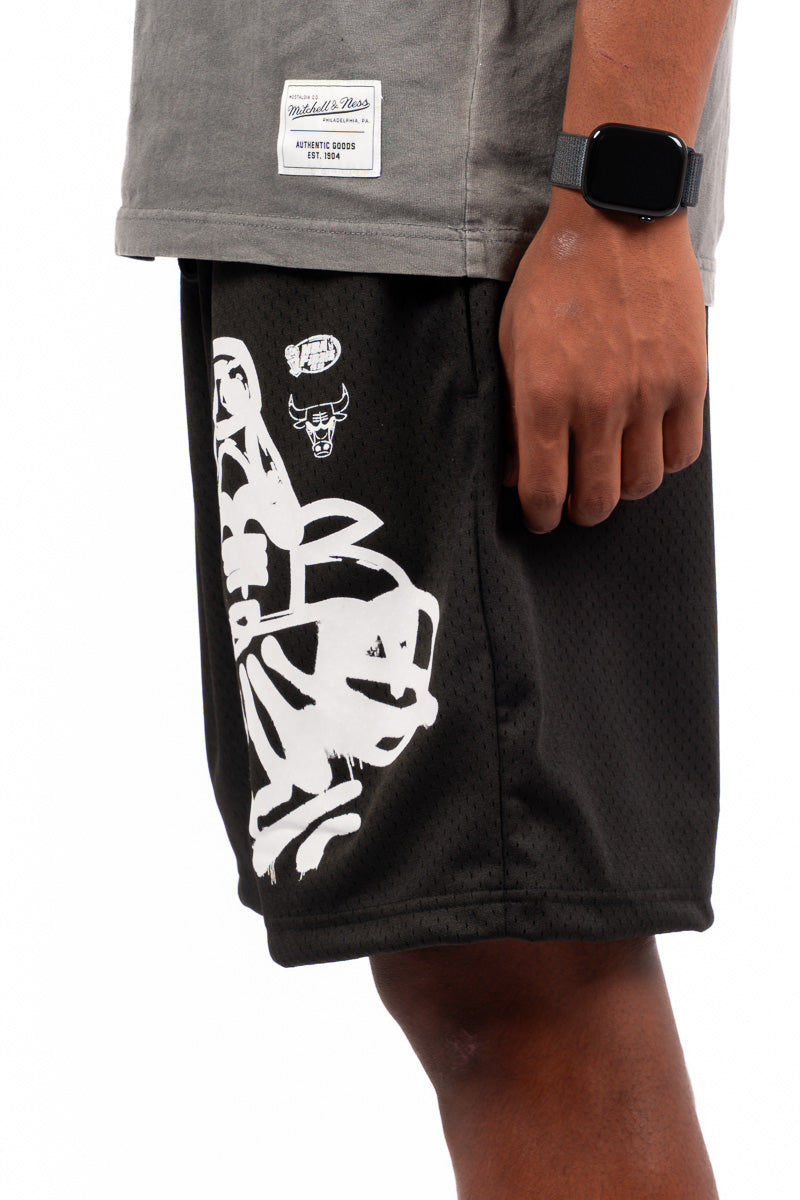 Chicago Bulls Graphic Mesh Shorts