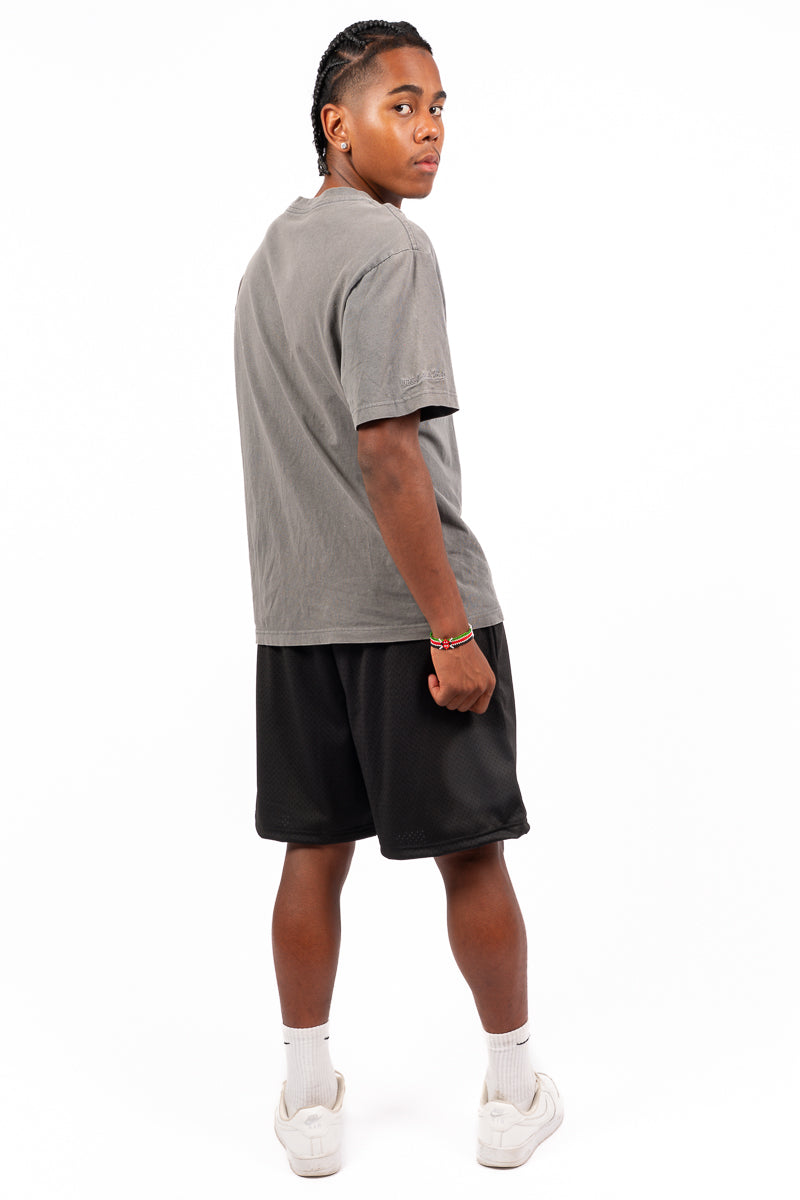 Chicago Bulls Graphic Mesh Shorts