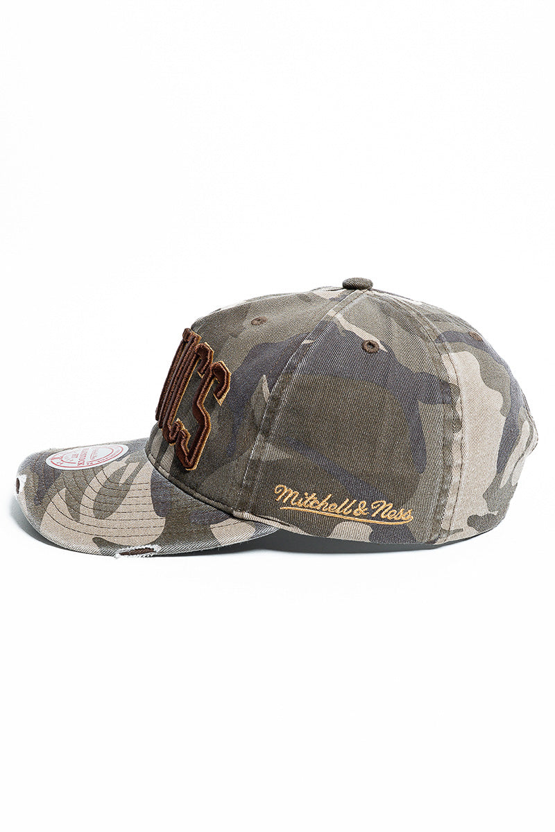 Boston Celtic Distressed Cap