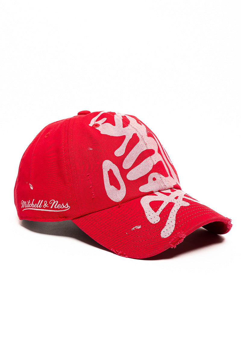 Chicago Bulls Graffiti Cap