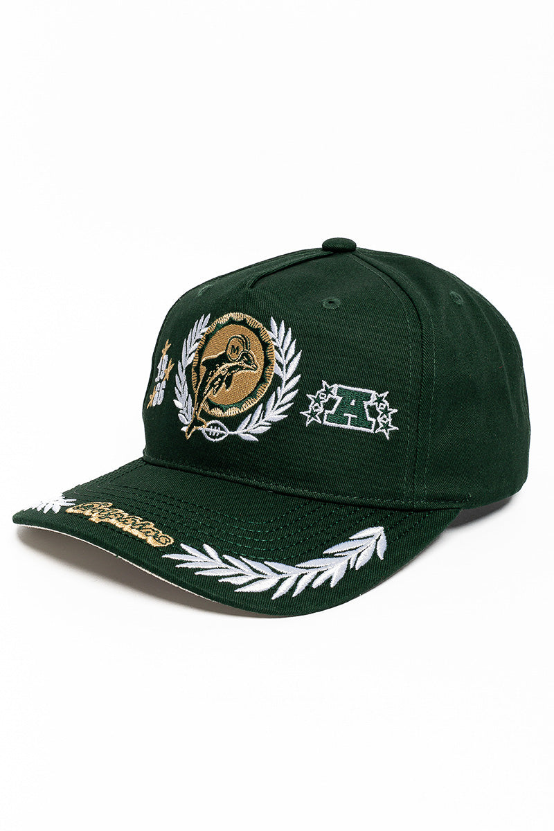 Miami Dolphins Stars & Text Origin Snapback