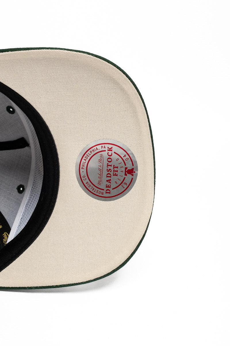 Miami Dolphins Stars & Text Origin Snapback