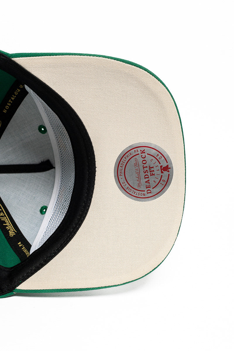 Philadelphia Eagles Stars & Text Origin Snpback