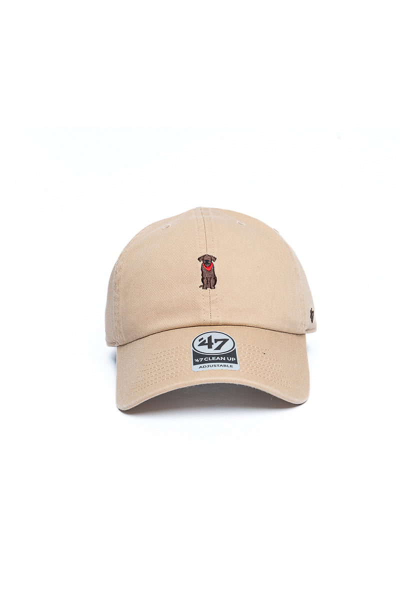 Chocolate Labrador 47 Clean Up Icon Cap - Mens
