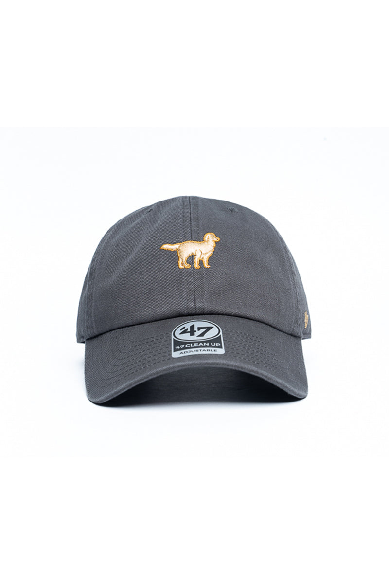 Golden Retriever 47 Clean Up Icon Cap - Mens