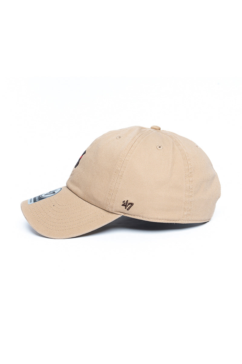 Chocolate Labrador 47 Clean Up Icon Cap - Mens