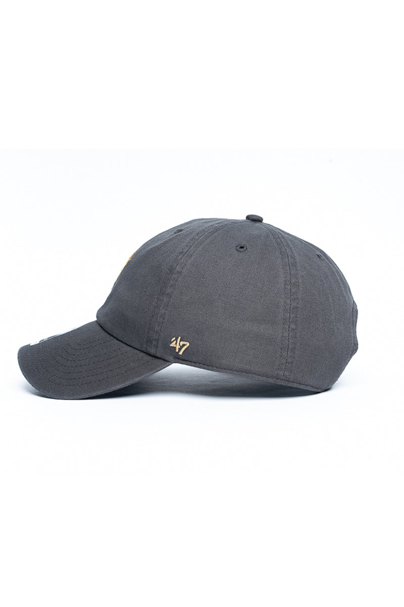 Golden Retriever 47 Clean Up Icon Cap - Mens