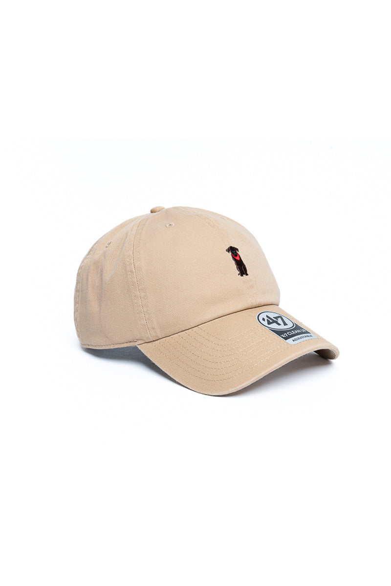 Chocolate Labrador 47 Clean Up Icon Cap - Mens