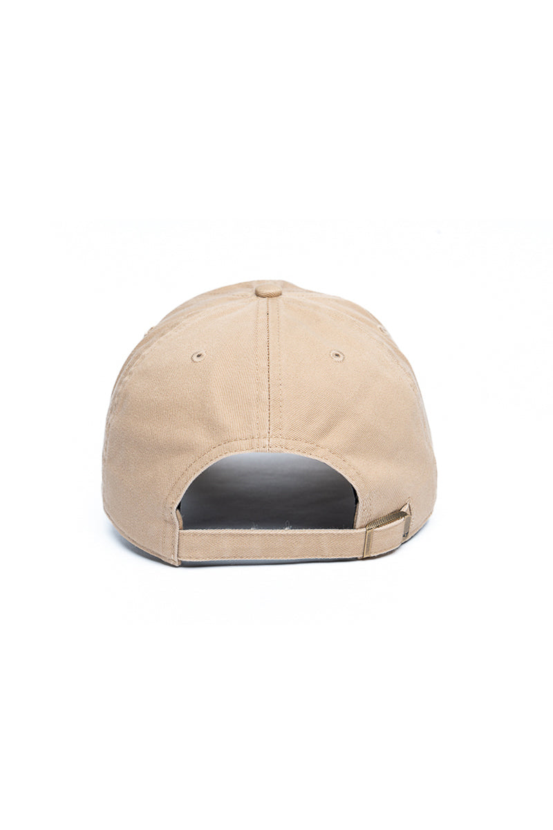 Chocolate Labrador 47 Clean Up Icon Cap - Mens