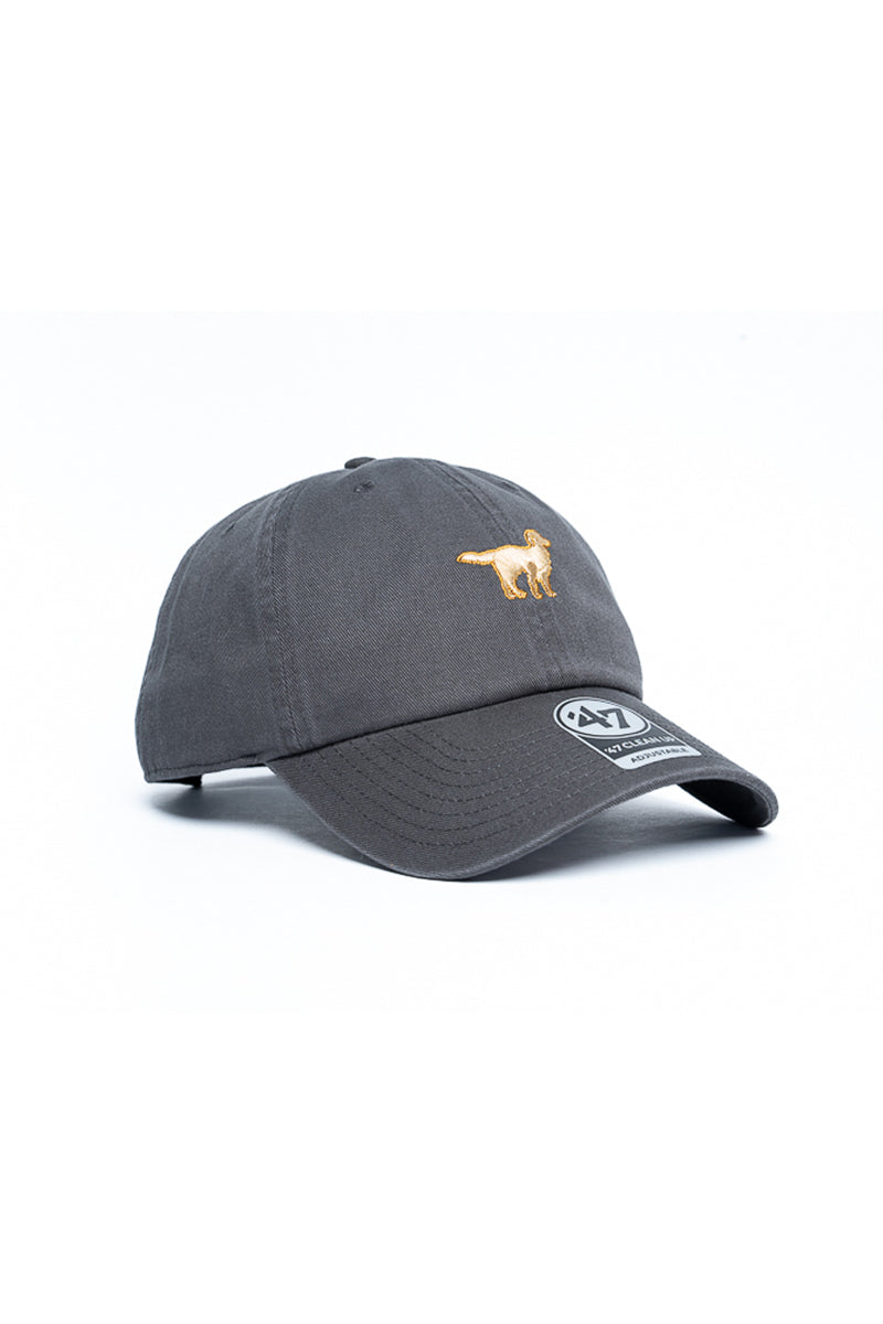 Golden Retriever 47 Clean Up Icon Cap - Mens