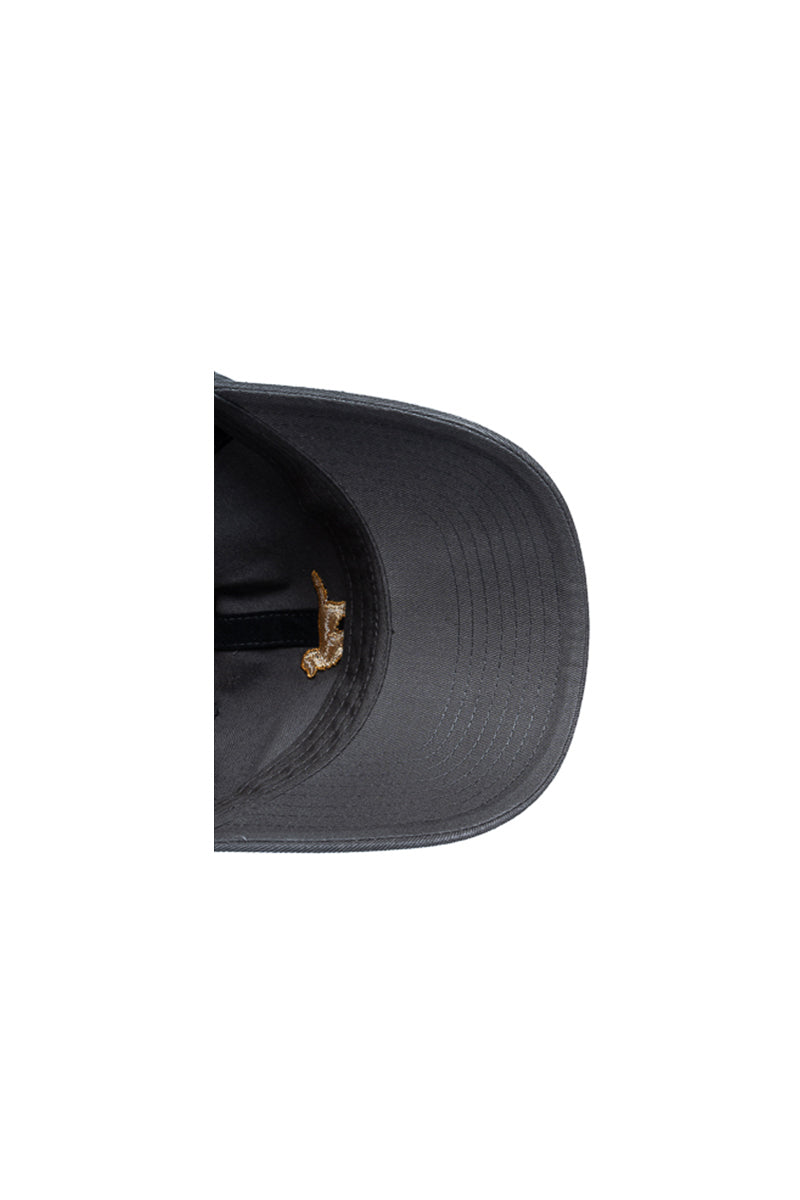 Golden Retriever 47 Clean Up Icon Cap - Mens