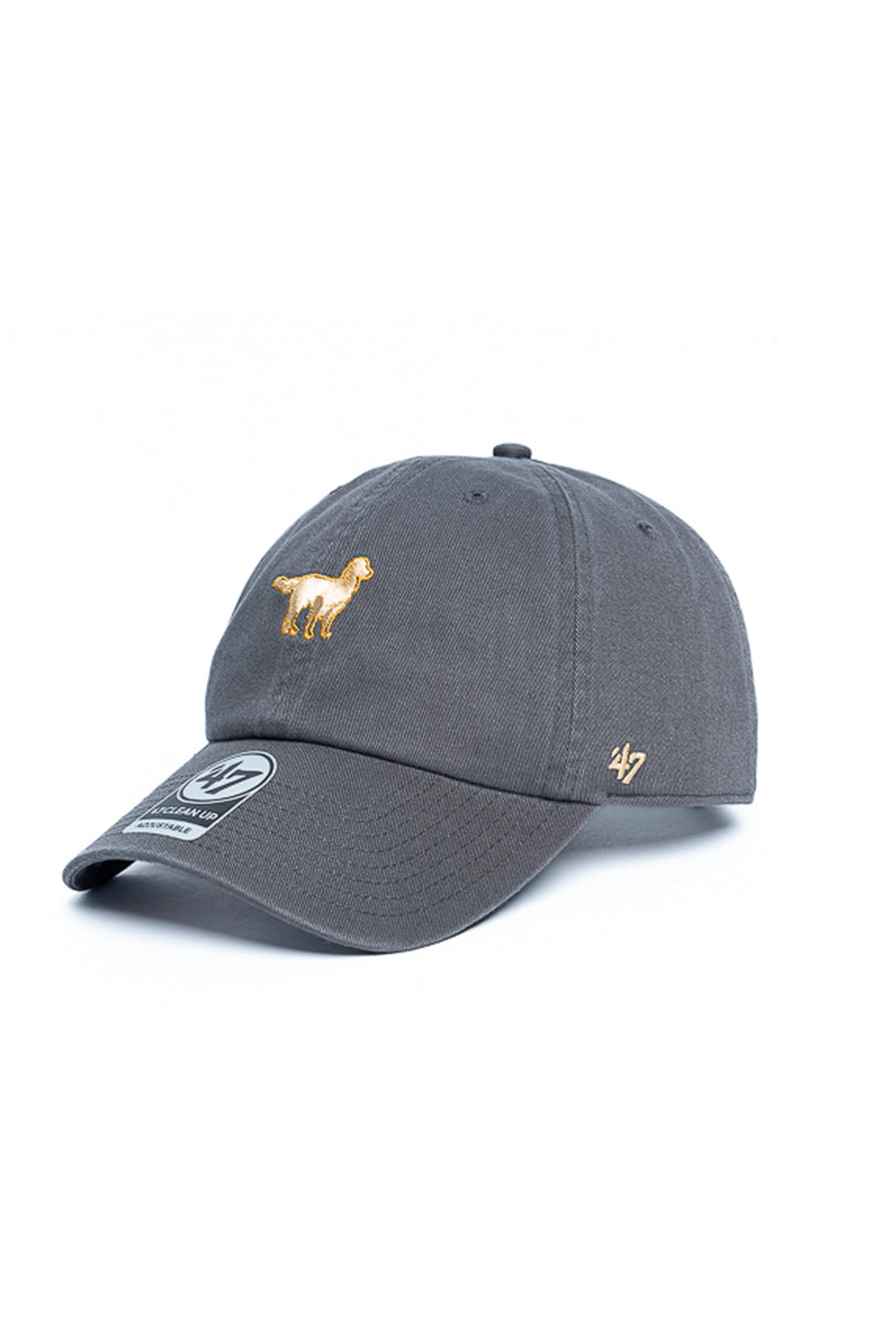 Golden Retriever 47 Clean Up Icon Cap - Mens