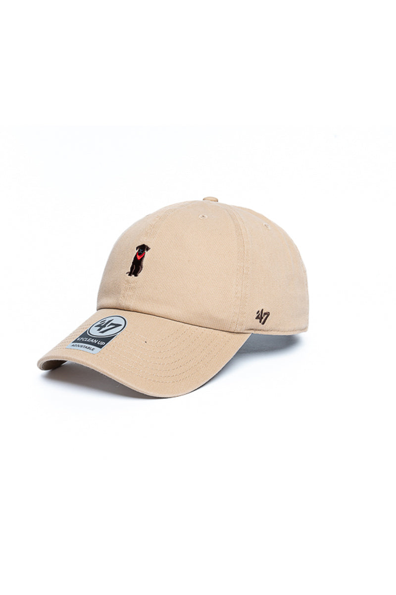 Chocolate Labrador 47 Clean Up Icon Cap - Mens