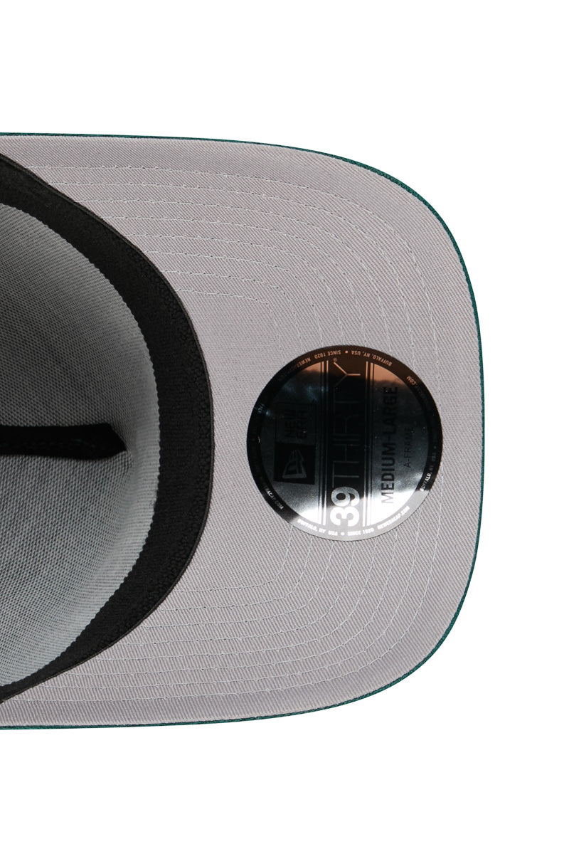 Philadelphia Eagles Suede 39Thirty A-Frame Fitted Cap - Mens