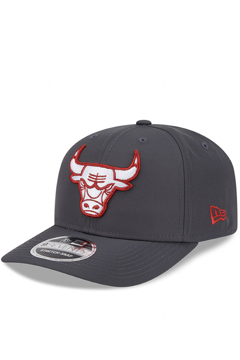 CHICAGO BULLS 970SS PROLITE GRPHT - Mens