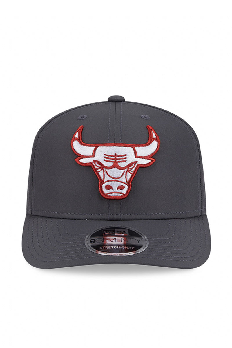 CHICAGO BULLS 970SS PROLITE GRPHT - Mens