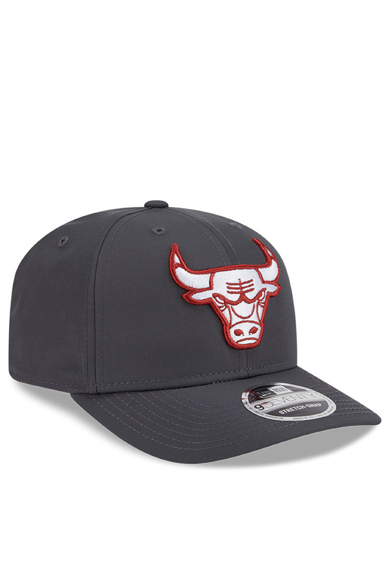 CHICAGO BULLS 970SS PROLITE GRPHT - Mens
