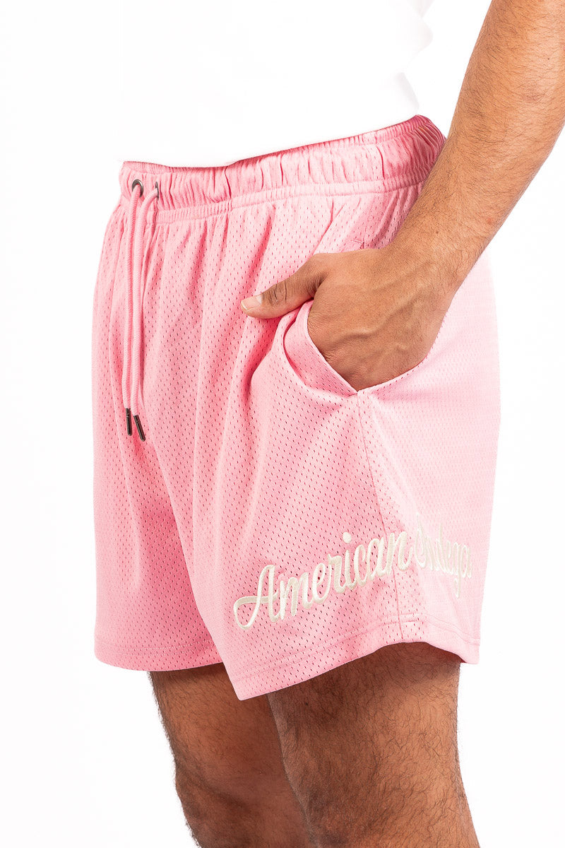 Lined Mesh Shorts