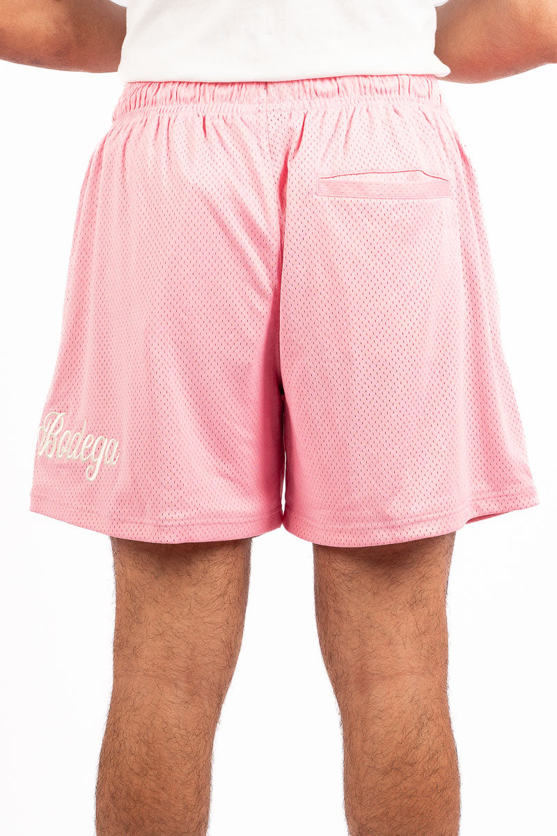 Lined Mesh Shorts