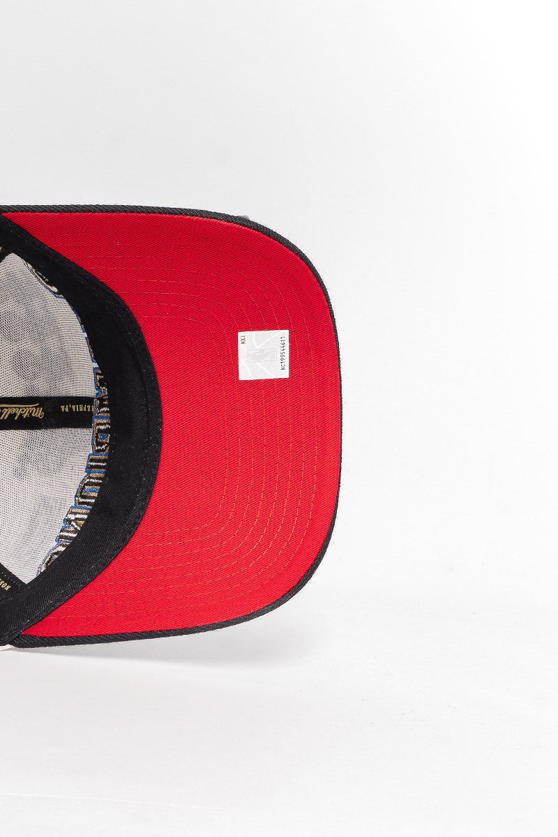 Chicago Bulls Pro Crown Championship Cap