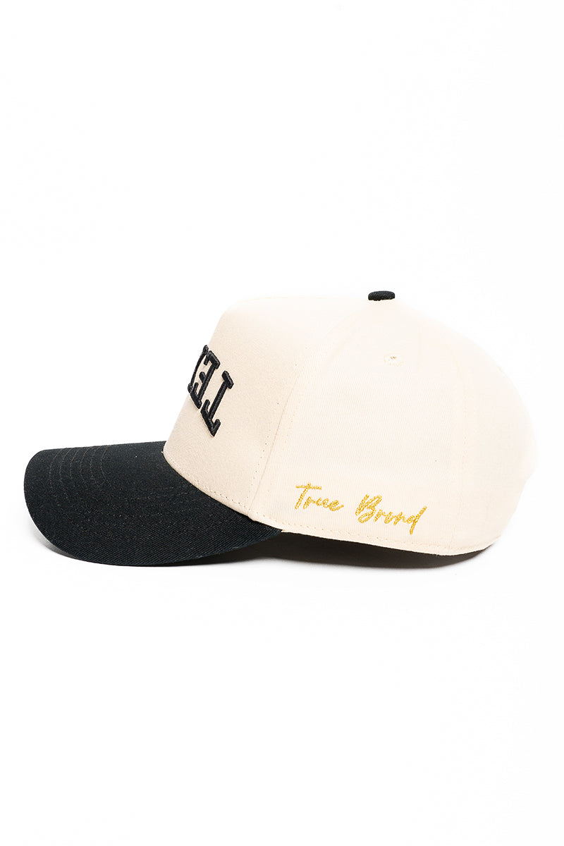 Texas Snapback